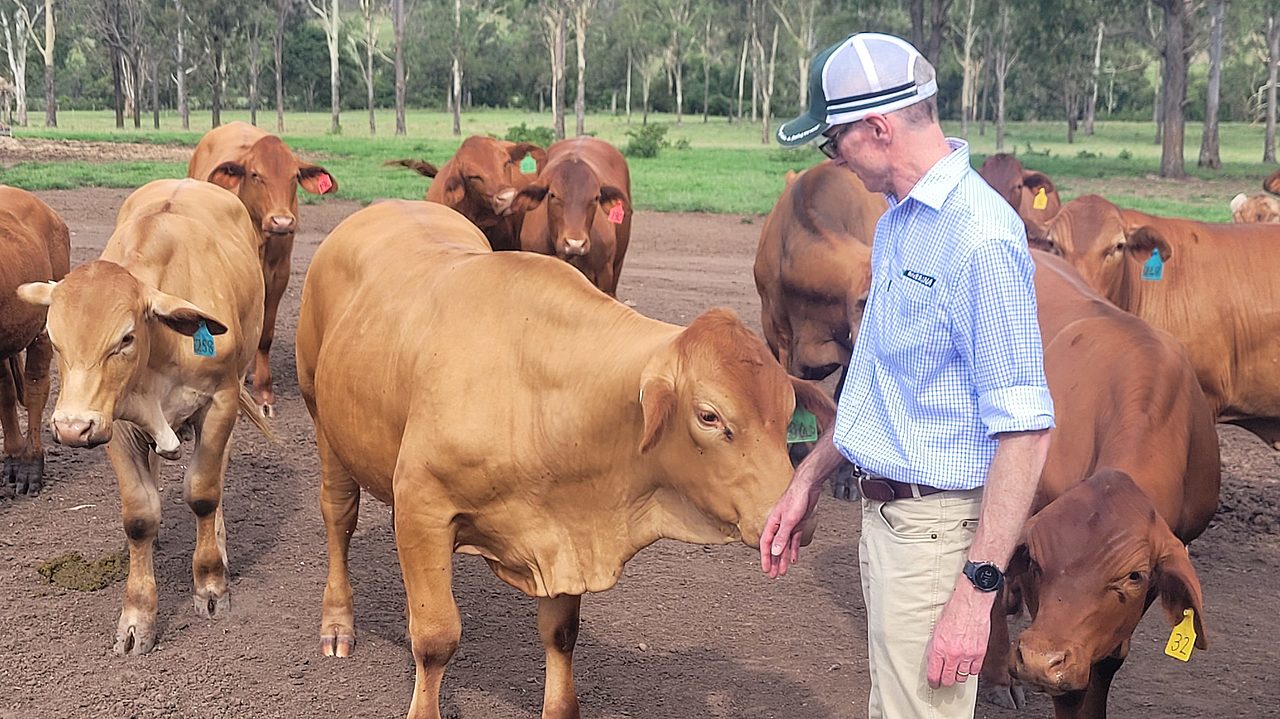 Cameron conducting an on-farm visit.