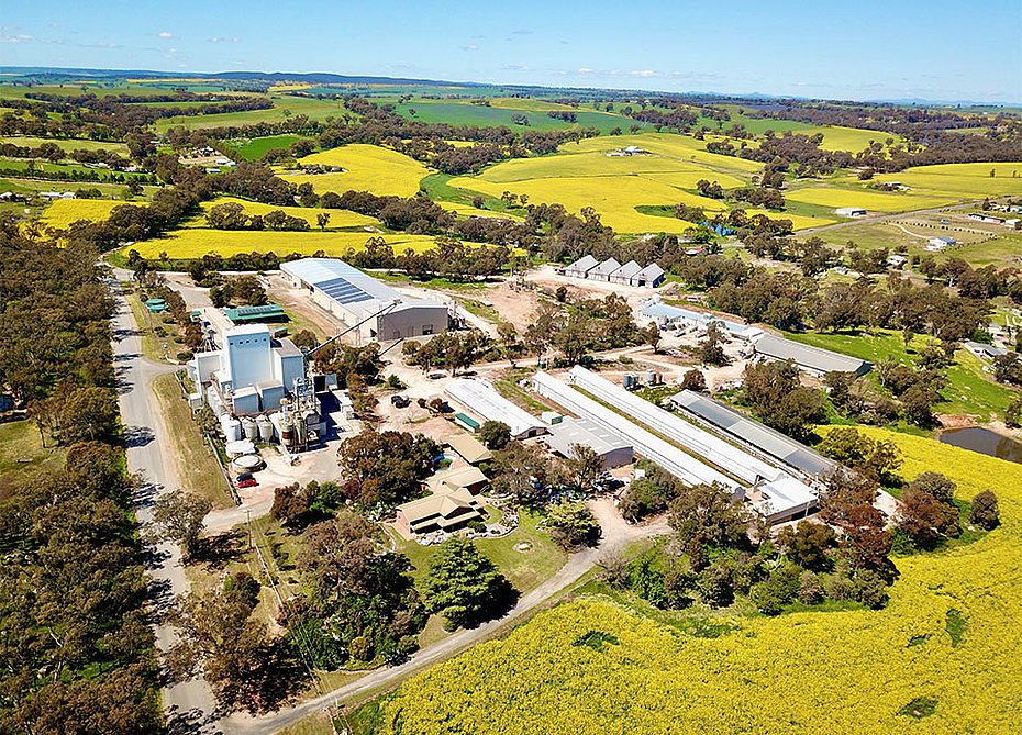 Ariel view of Riverina Stockfeeds Young branch mill with canola flowers 