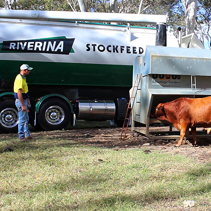 Riverina Stockfeeds truck delivering cattle feed directly to the farm